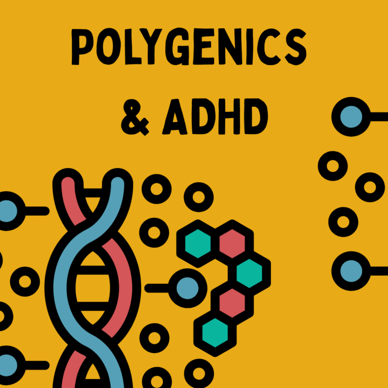 polygenics and adhd by the neuroverse
